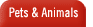 Pets & Animals